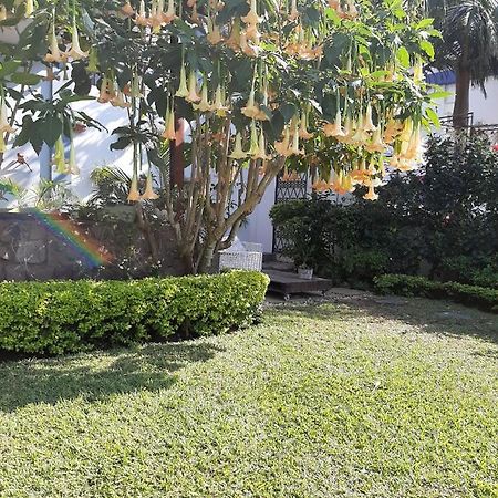 Figtree Guesthouse Maputo Dış mekan fotoğraf