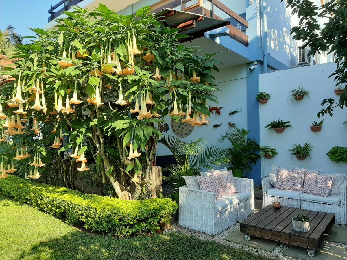 Figtree Guesthouse Maputo Dış mekan fotoğraf