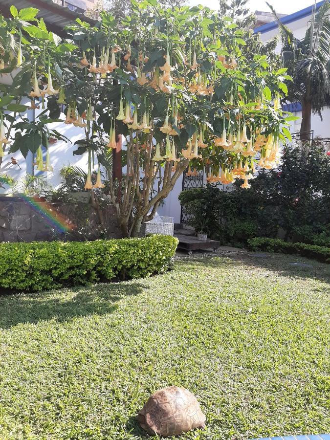 Figtree Guesthouse Maputo Dış mekan fotoğraf