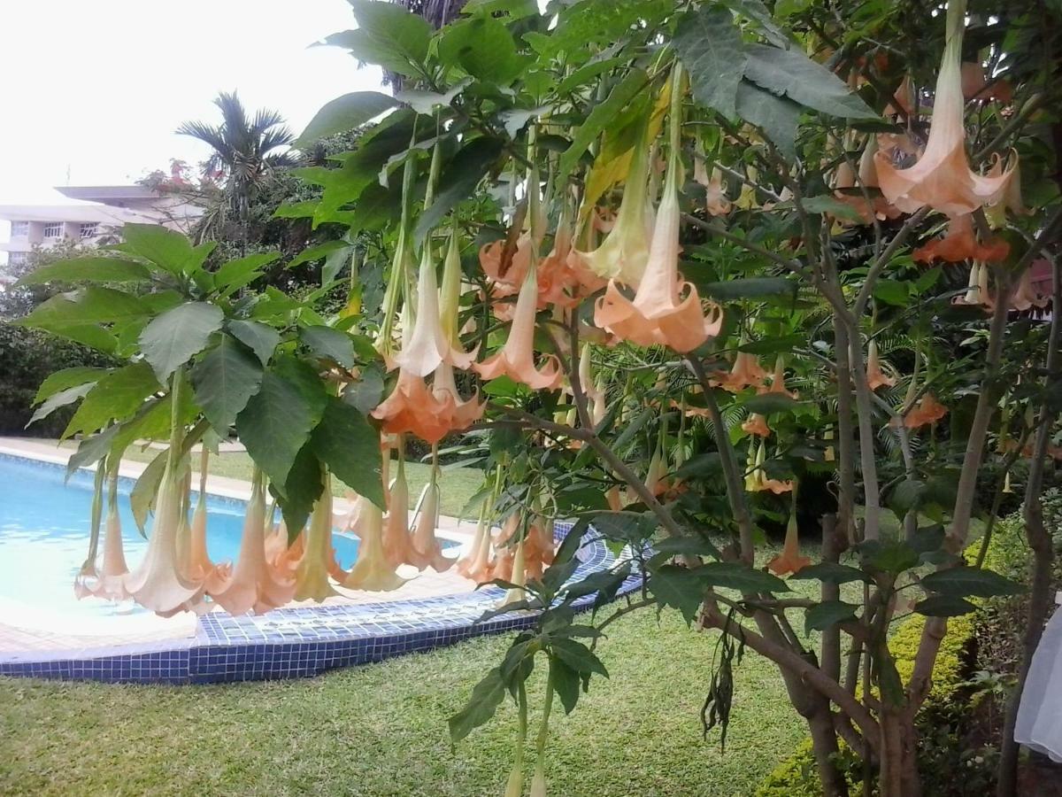 Figtree Guesthouse Maputo Dış mekan fotoğraf
