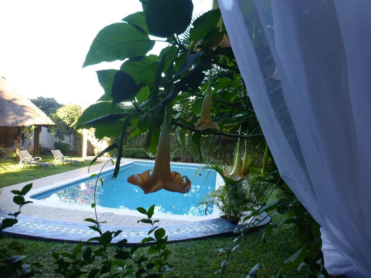 Figtree Guesthouse Maputo Dış mekan fotoğraf